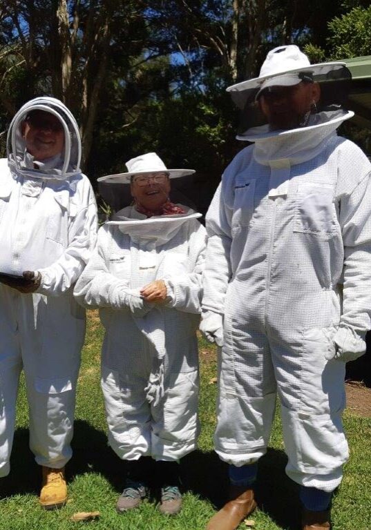 garden bee group